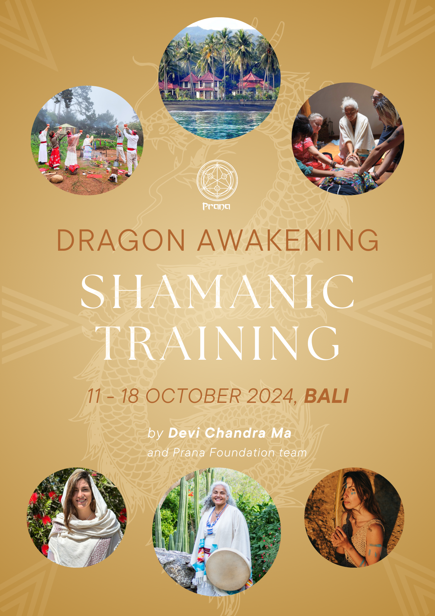 Shamanic Training